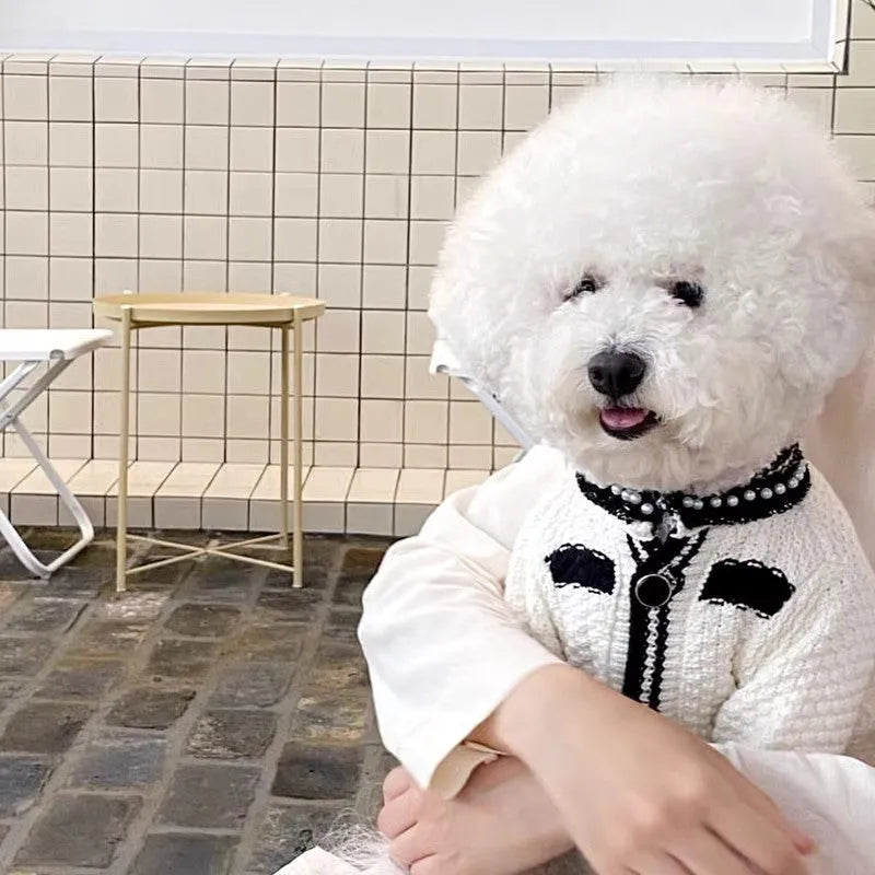 Korean style white puppy sweater with pearl collar for small dogs in XS to XL sizes