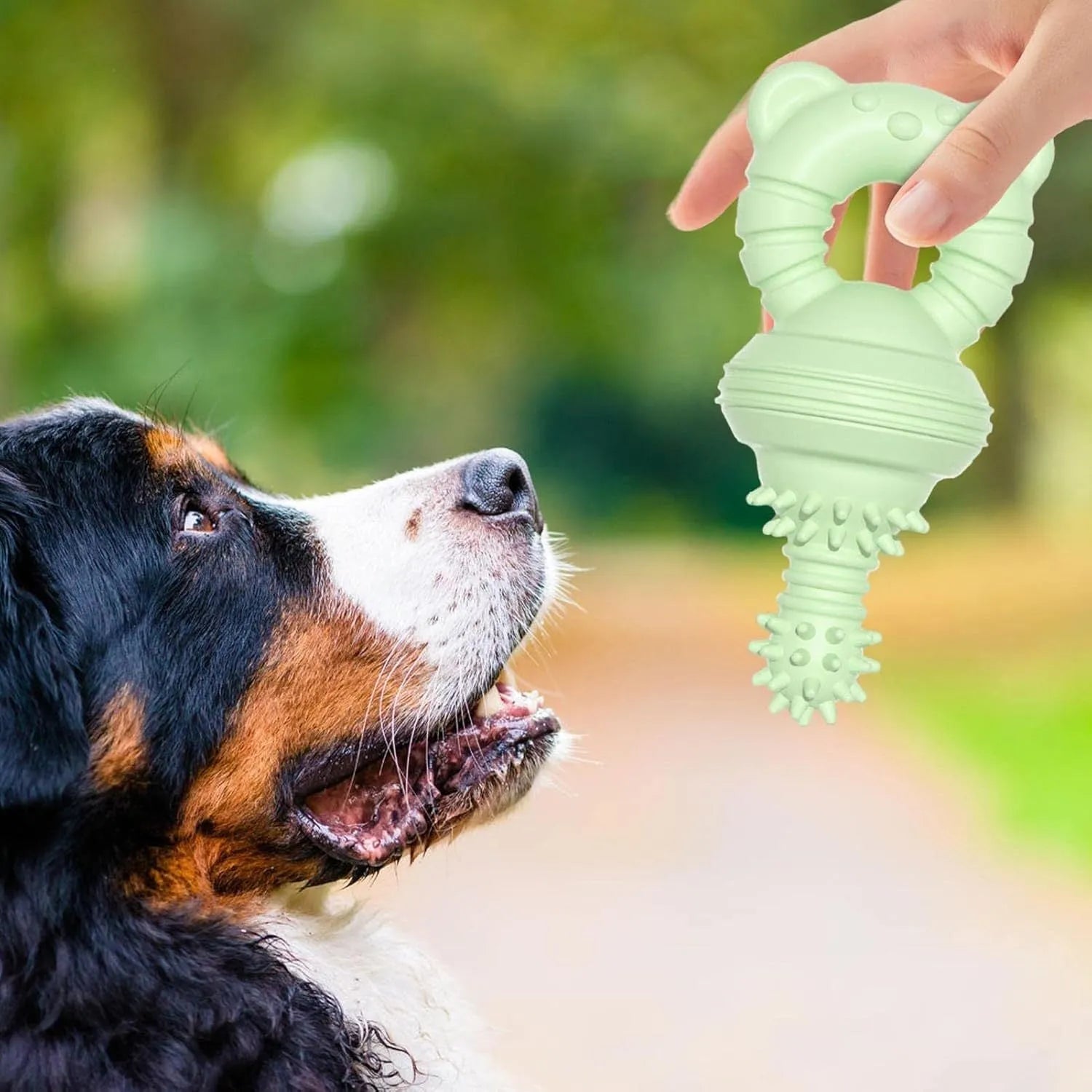 Blue durable rubber dog chew toy with textured concave-convex cleaning surface for aggressive chewers.
