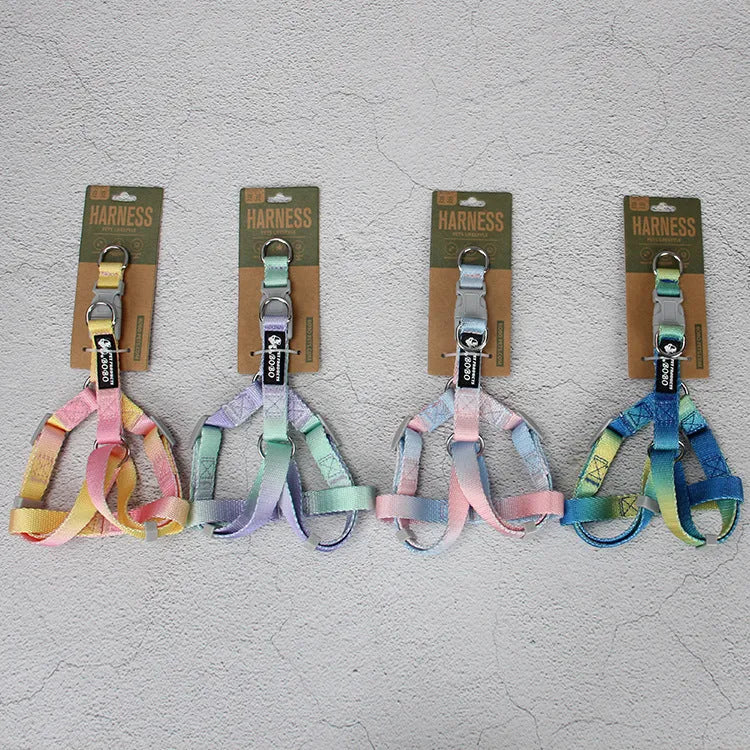 Gradient colour dog leash set showing nylon collar, harness, and matching lead in pink and yellow combination
