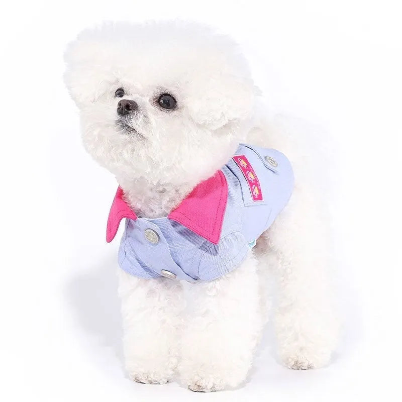 Blue and purple polyester dog vest with integrated leash ring for small dogs in summer