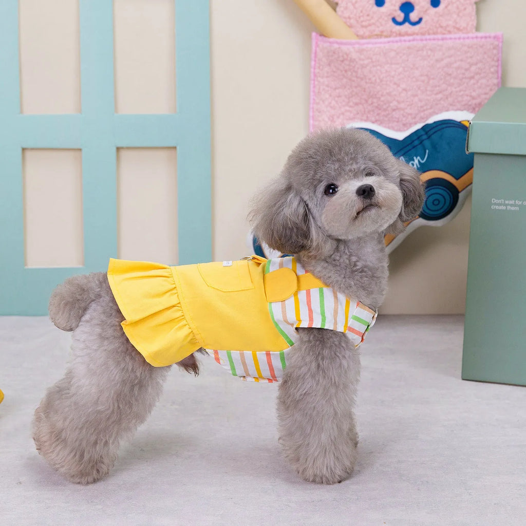 Orange red and yellow striped patchwork cotton skirt for dogs, shown in casual style.
