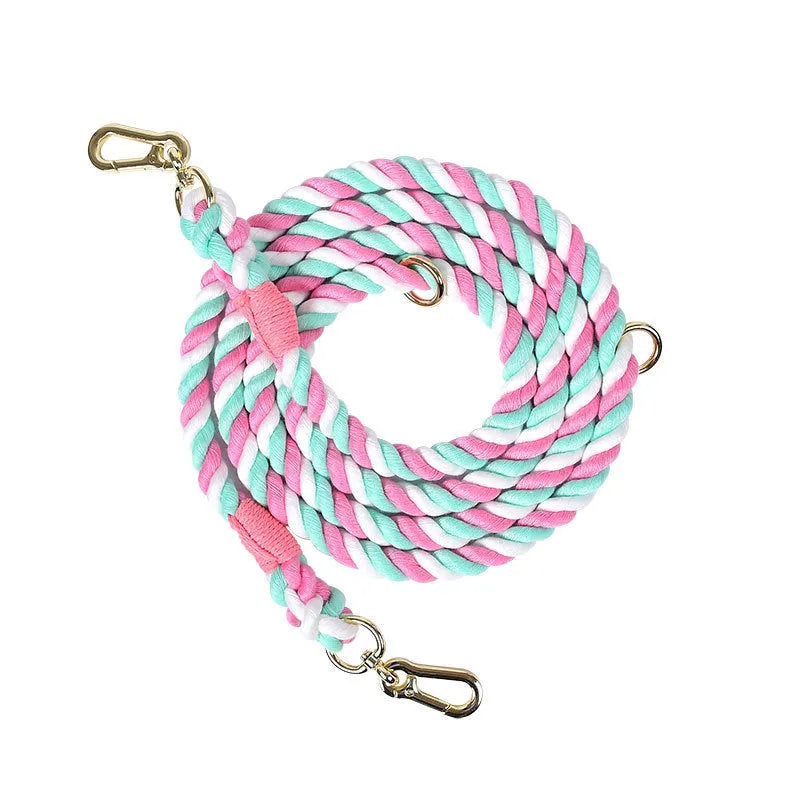 Woven rainbow coloured dog leash with clips at both ends, shown in a choice of colours with silver or gold fittings.
