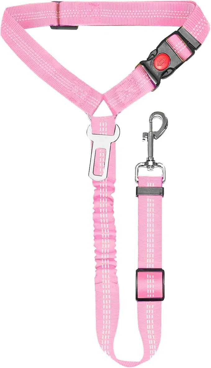 Nylon dog leash with metal buckle in multiple colour options including army green and black