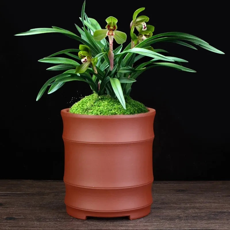 Fine Zisha large diameter bamboo joint flowerpot in classical purple sand with 19.9cm caliber and 22cm height