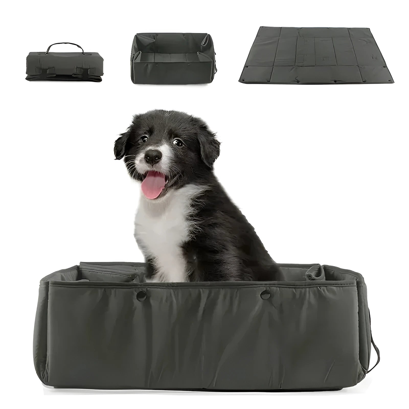 Portable 3-in-1 dog travel bed in black, collapsible with water resistant outer shell for small dogs