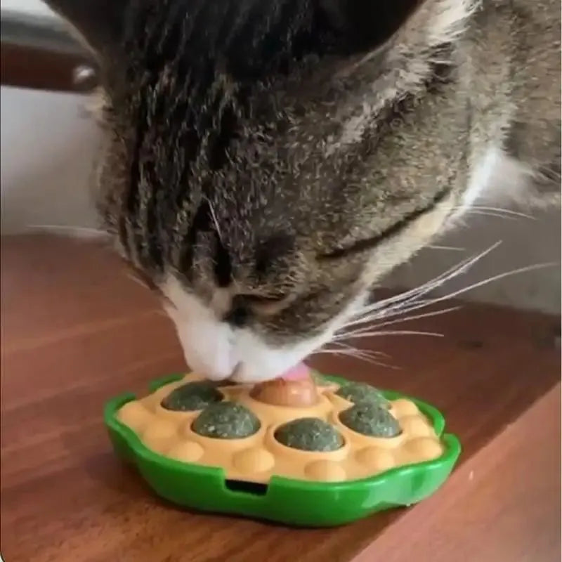 Four green lotus-shaped catnip balls mounted on wall for interactive feline play