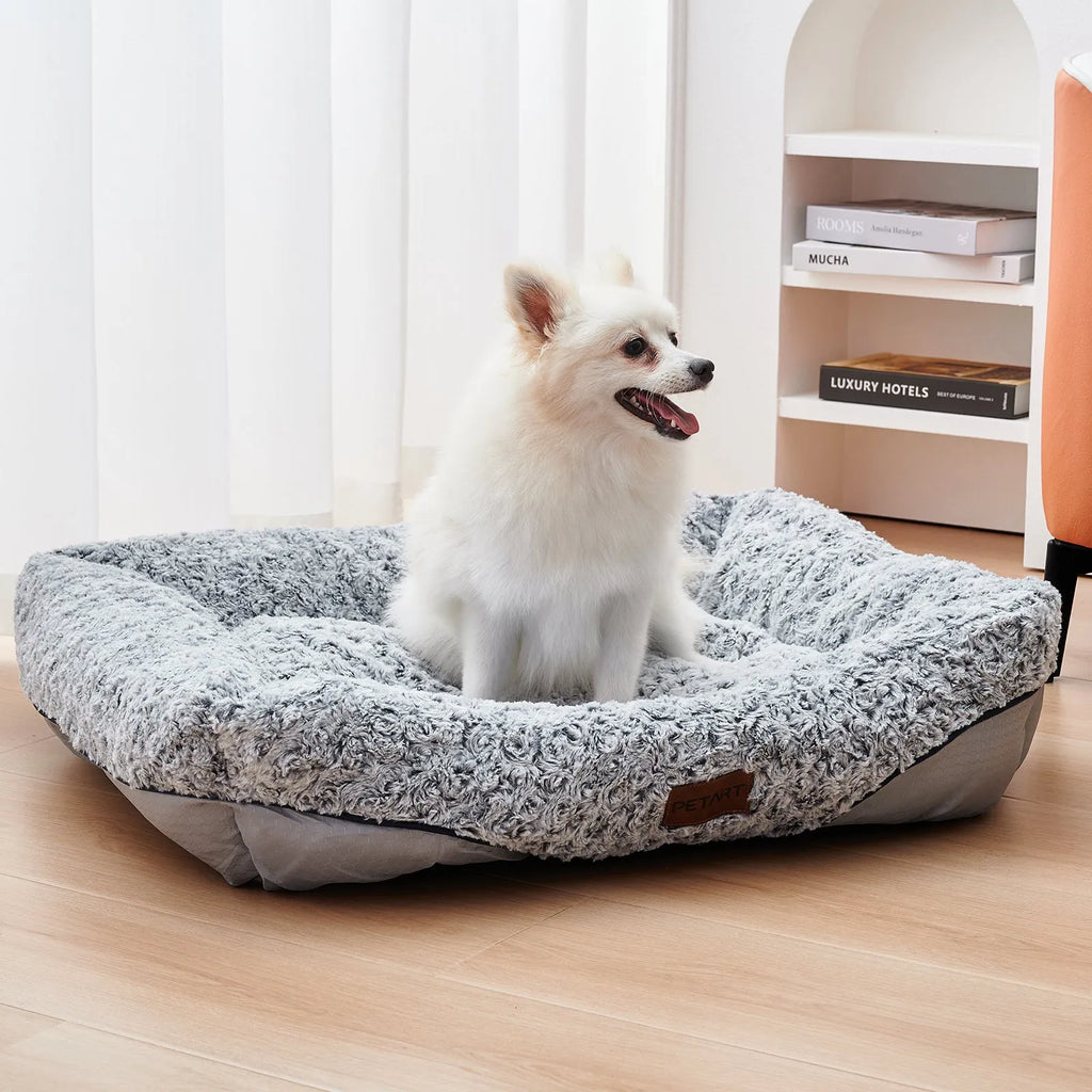 Swirl Rose Velvet dog bed with raised rim and removable cushion on a floor, size option S, M, or L.