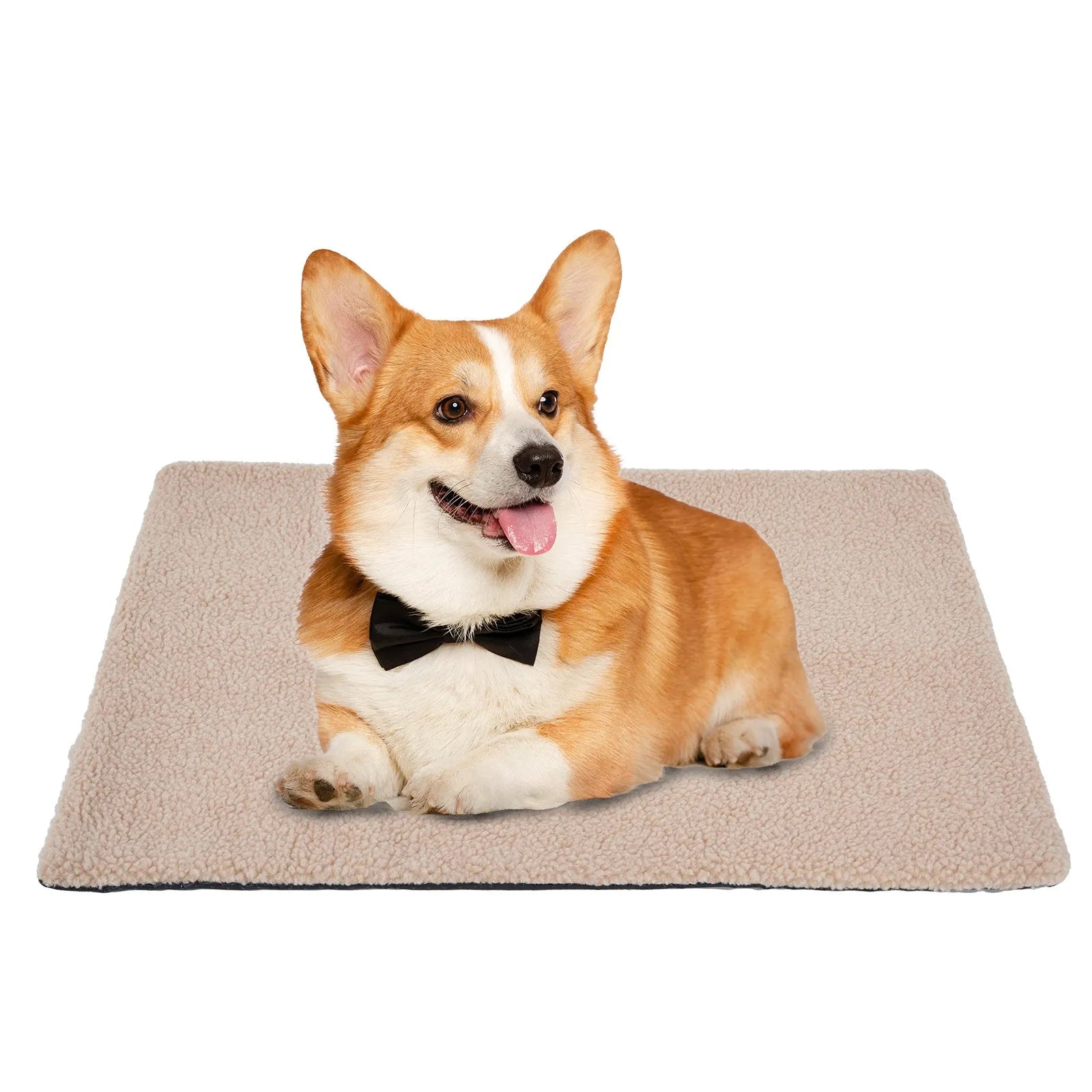 Self heating pet pad for cats in plush material showing size options and colour variations