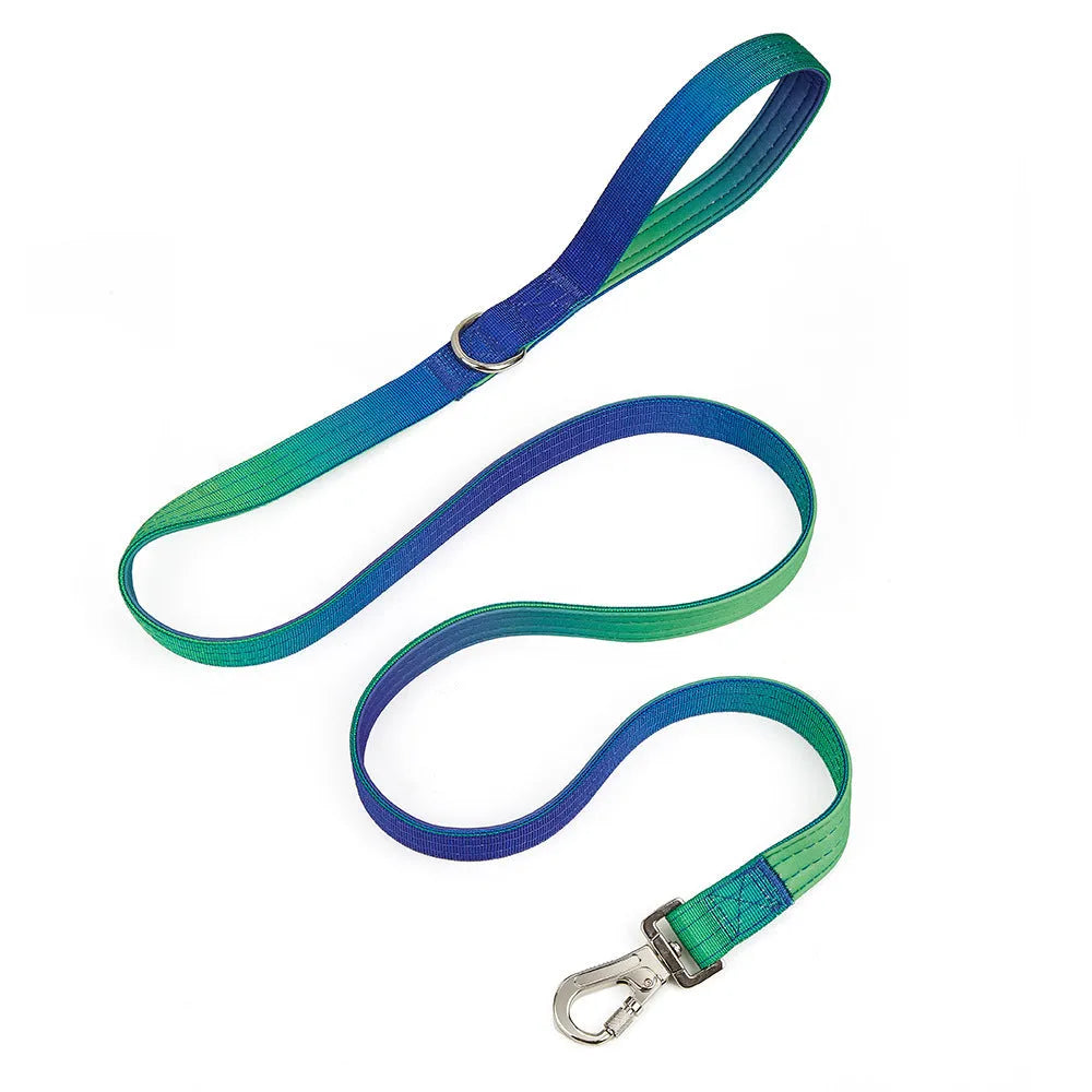 Widened gradient colour dog collar and leash set in blue purple combination with 2.5cm nylon construction