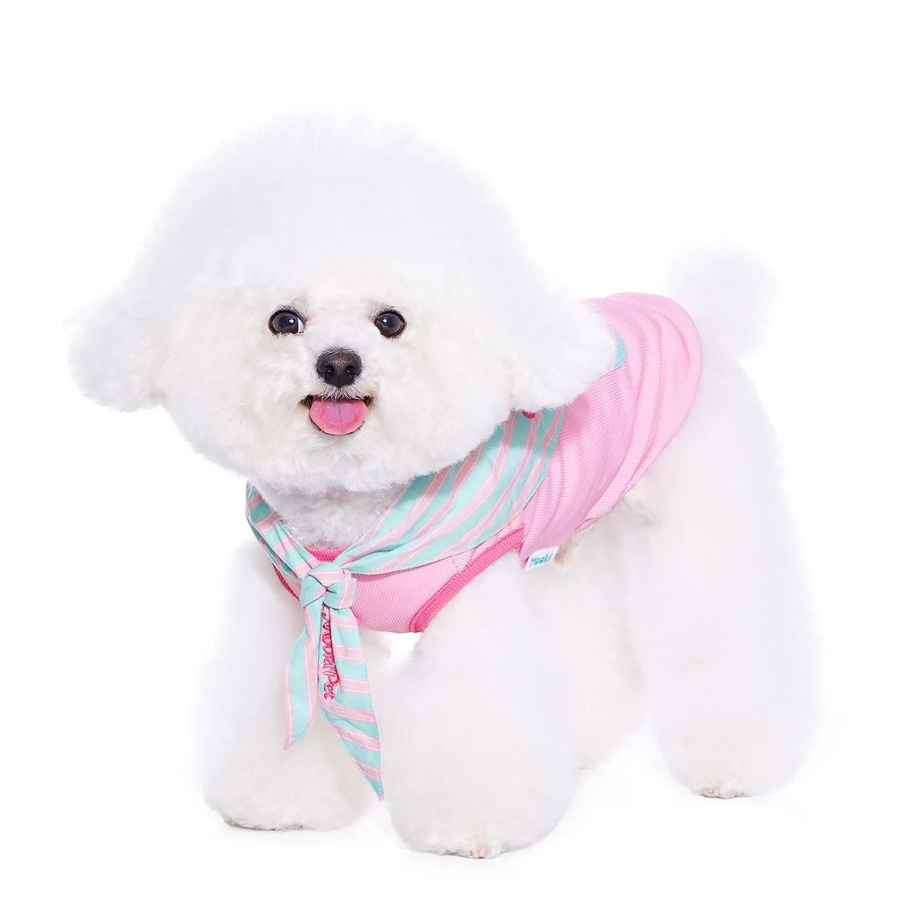 Pink pet cloak scarf vest set on a pet