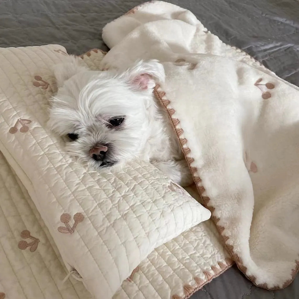Square dog bed set with pillow mattress and quilt in simple bear pattern design