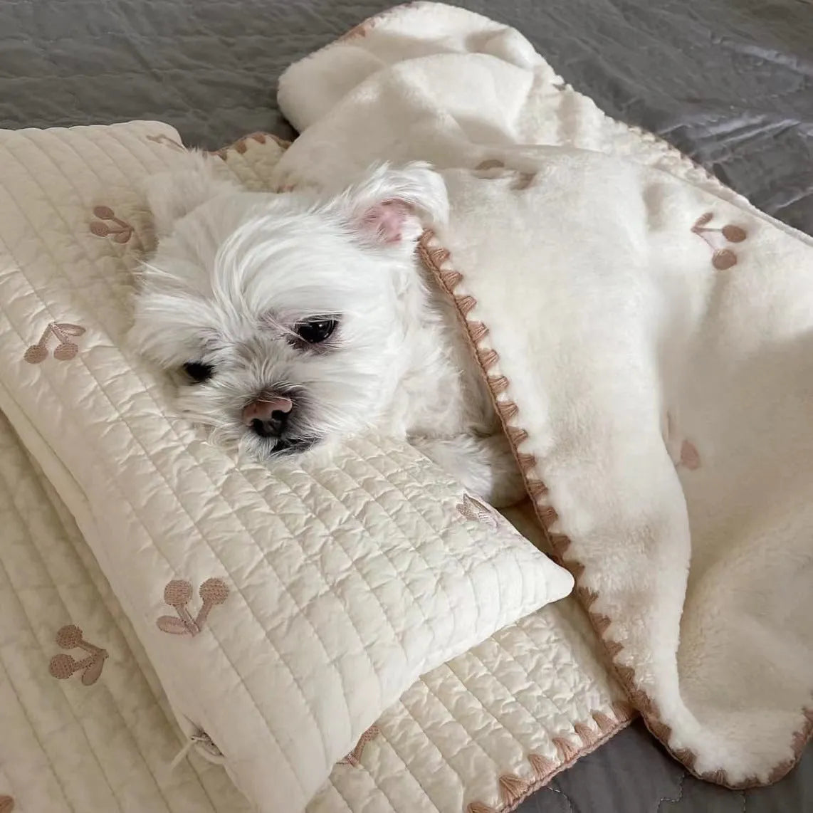 Square dog bed set with pillow mattress and quilt in simple bear pattern design