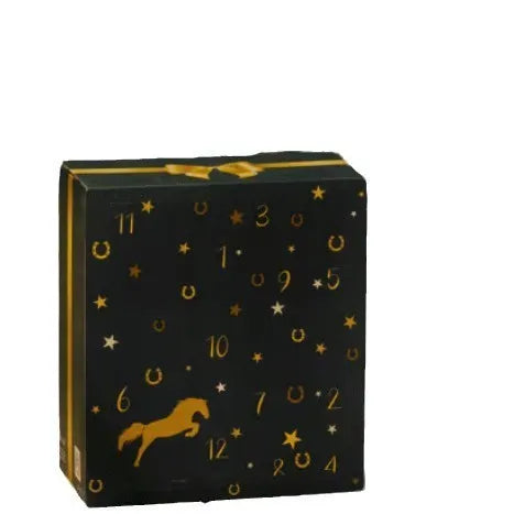 Fringe and tassel advent calendar in equestrian blind box style, modern art design made from PVC