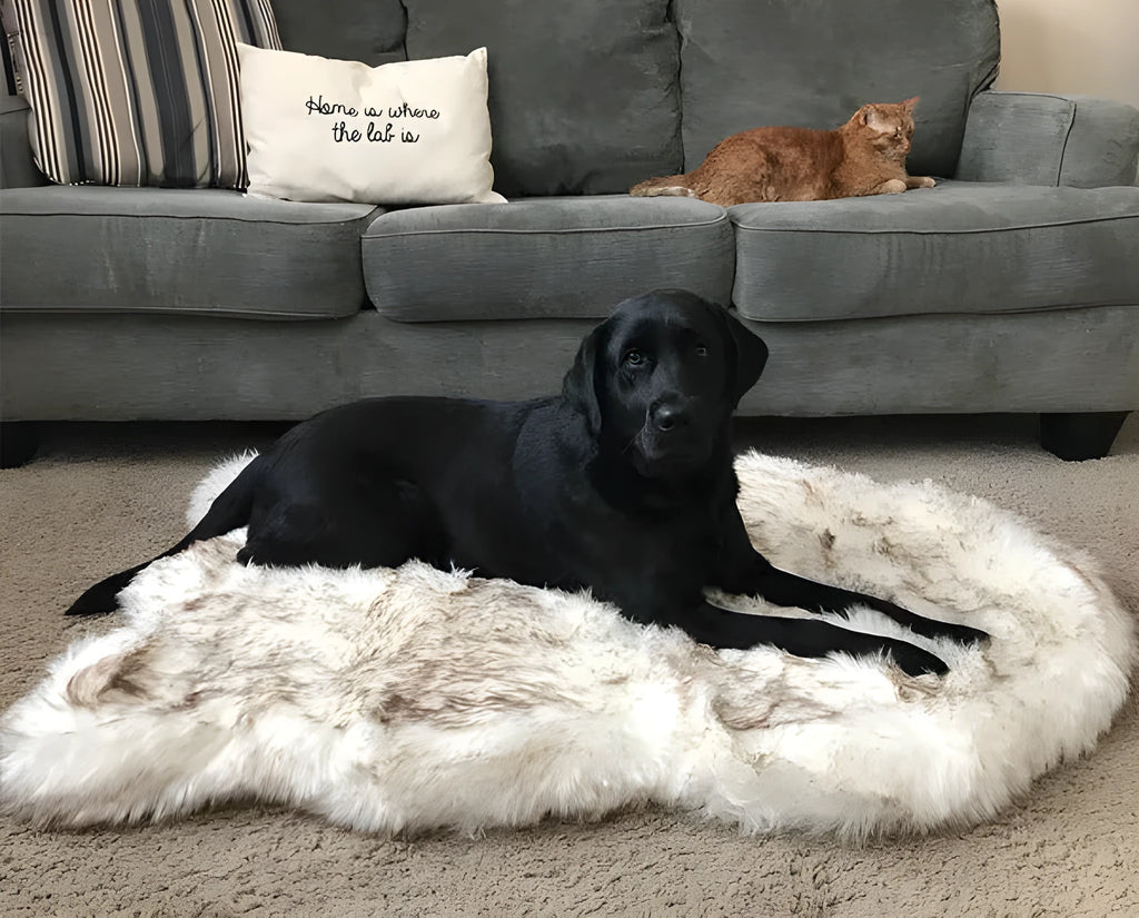 Pet dog plush mat in beige with soft plush surface on floor, available in multiple sizes for dogs up to 45kg
