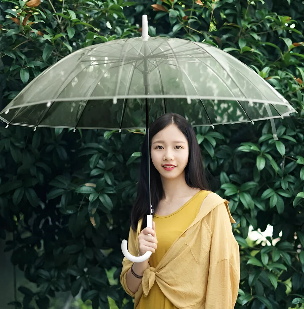 Transparent 16-rib umbrella with long black handle fully opened showing steel frame structure