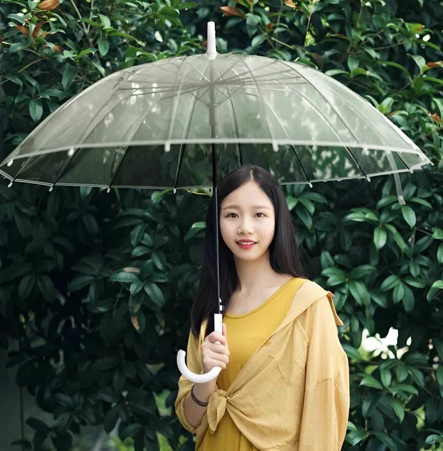 Transparent 16-rib umbrella with long black handle fully opened showing steel frame structure