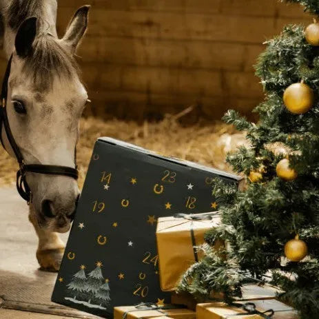 Fringe and tassel advent calendar in equestrian blind box style, modern art design made from PVC