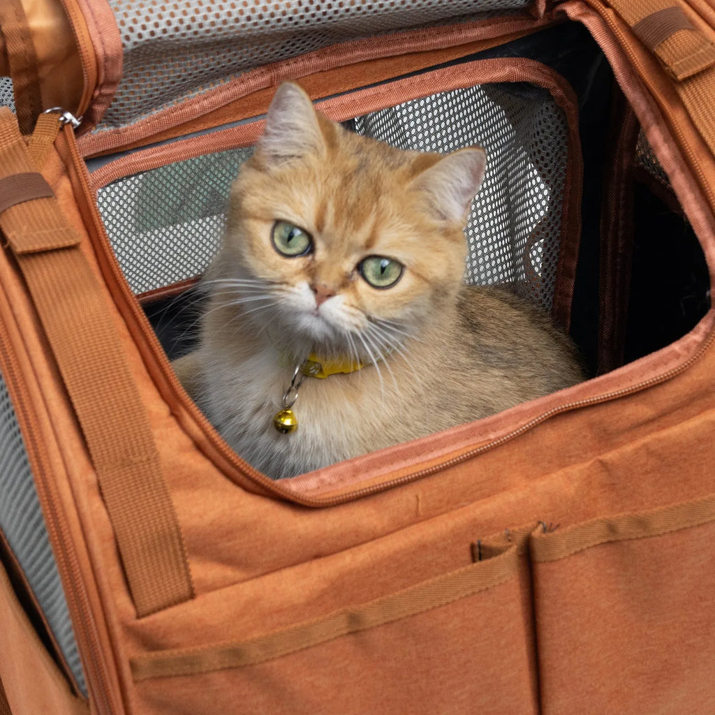 Expandable breathable outdoor cat backpack in gray Oxford fabric with 55L capacity