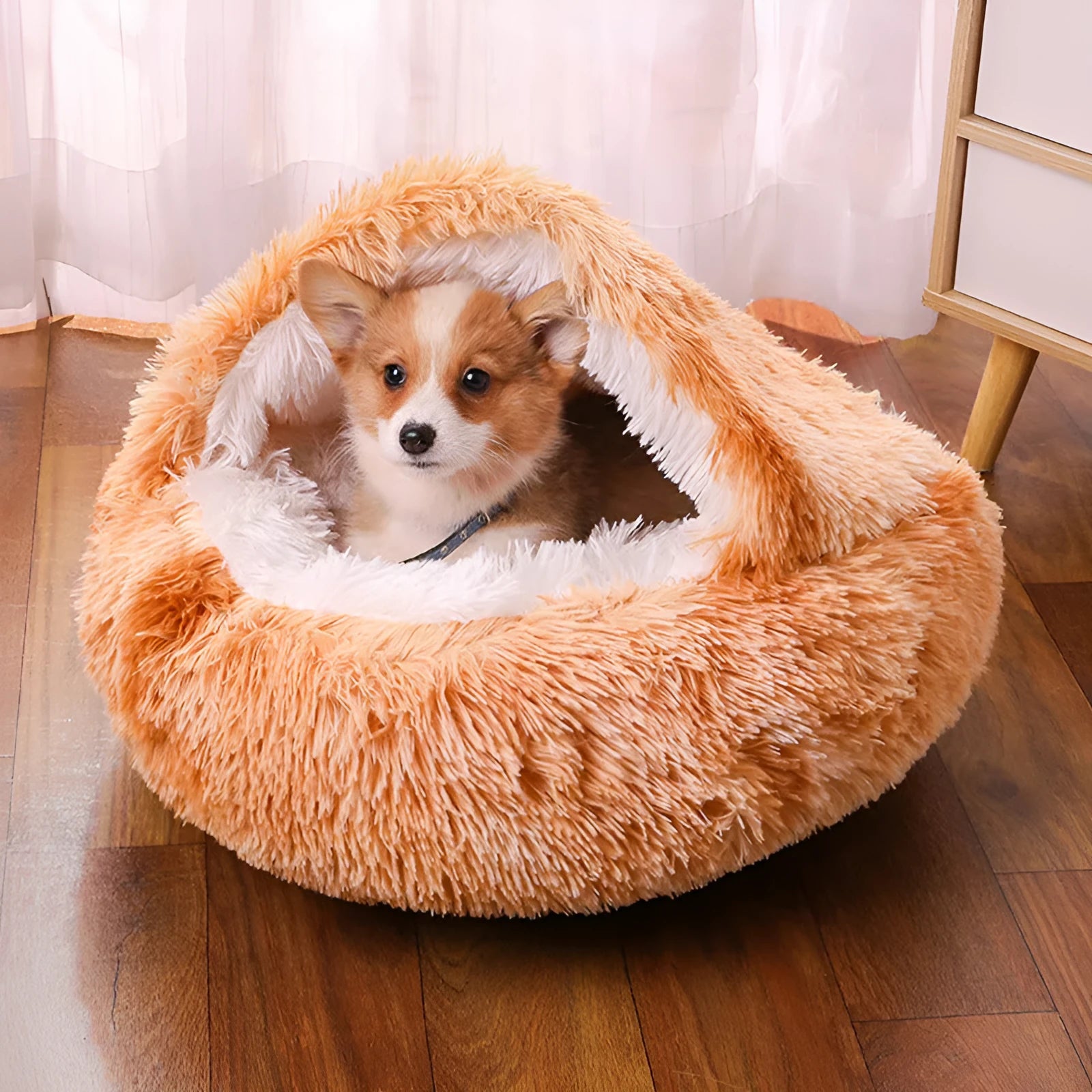 Waterproof cloth dog kennel in a semi-surrounded design showing a gradient colour option.