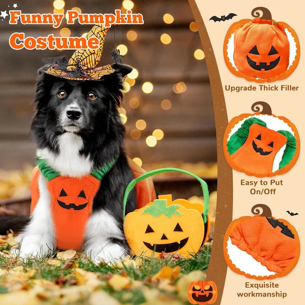 Orange pumpkin plush Halloween costume for small to medium dogs with pullover design