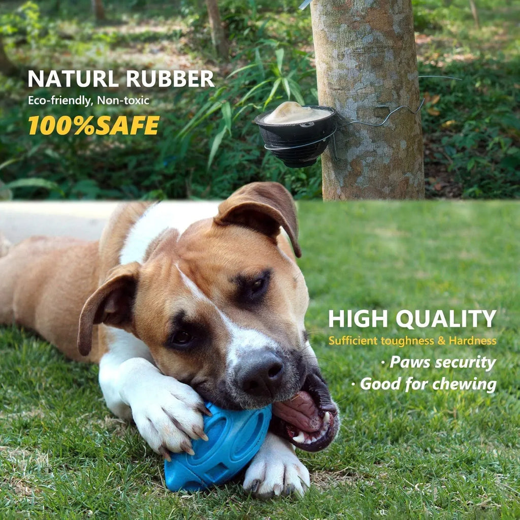 Blue, green, and orange natural rubber squeaky dog chew ball with grooved surface.