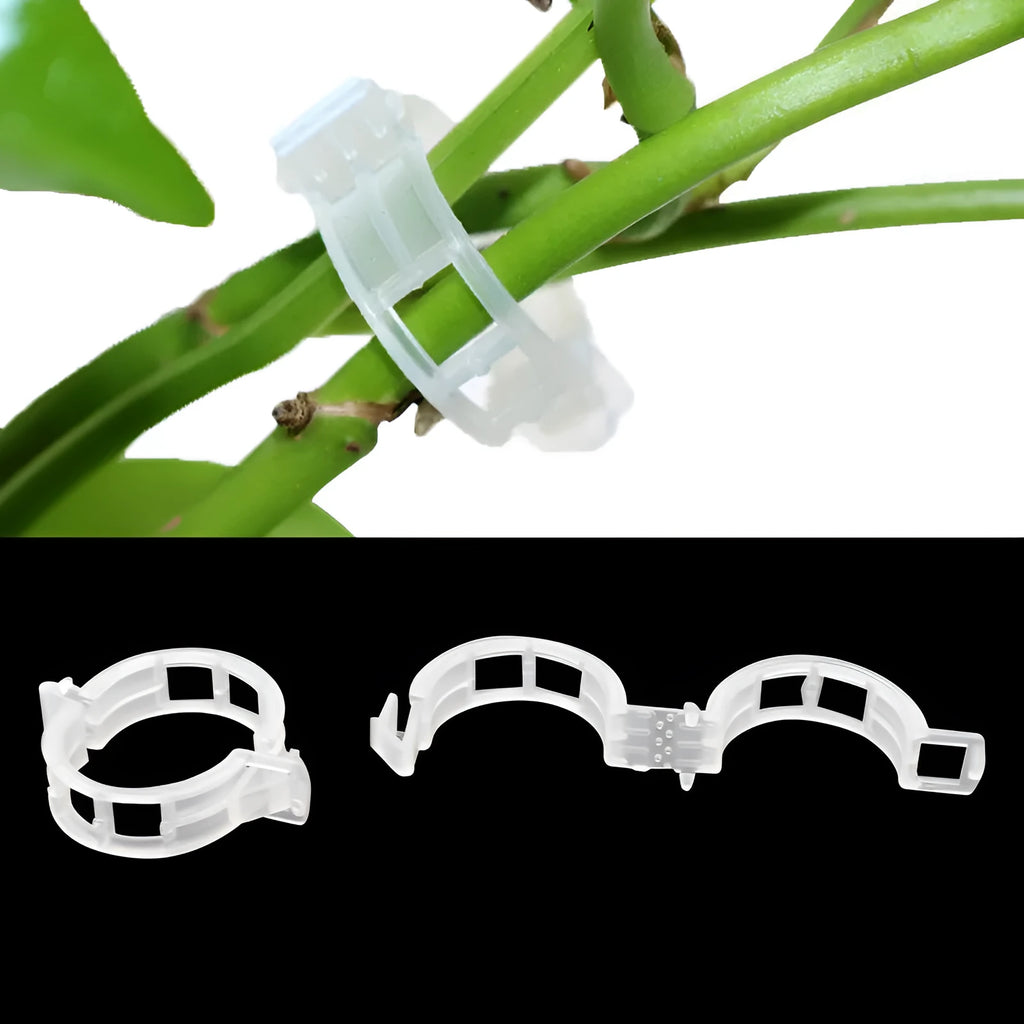 Pack of 50 plastic plant grafting clips for securing garden twigs and grafts.