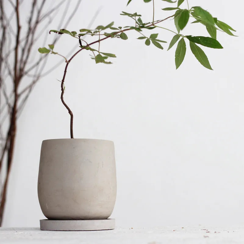 Round cement flower pot desktop 11cm natural colour with tray on a table