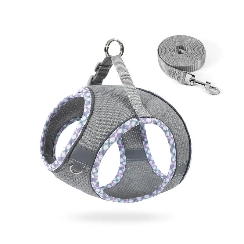 Step-in dog harness with leash in breathable mesh with reflective trim