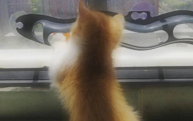 Grey plastic cat climbing frame with track ball toy on a windowsill, approximately 57cm long and 10cm wide