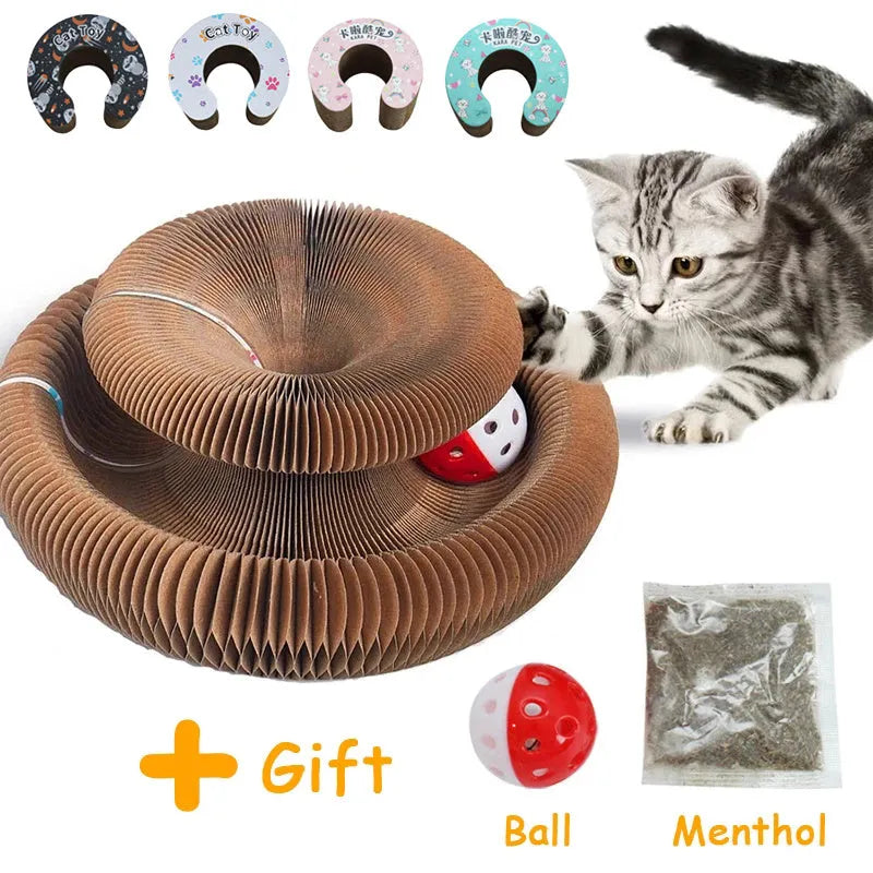 Pet magnetic folding organ toy cat scratch board in white with ball and menthol accessories on paper surface