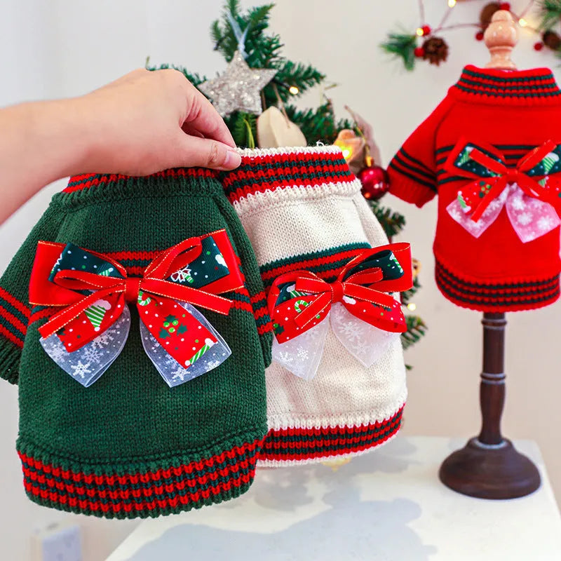 Dog wearing Christmas jumper in red colour, seasonal pet clothing for holiday photos