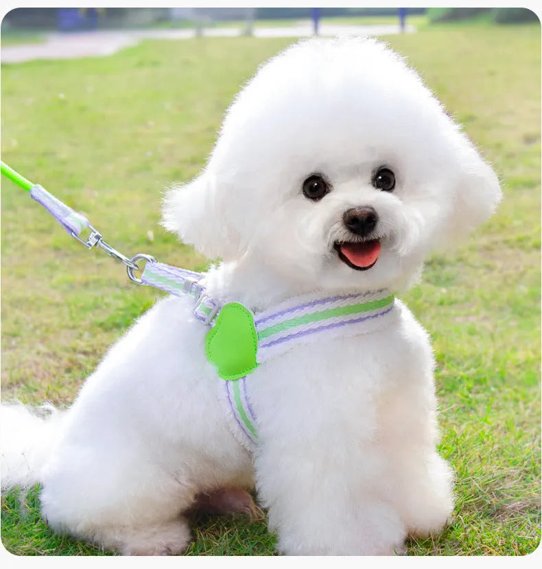 Blue breathable chest vest dog leash for small-medium breeds with 1.5m leash