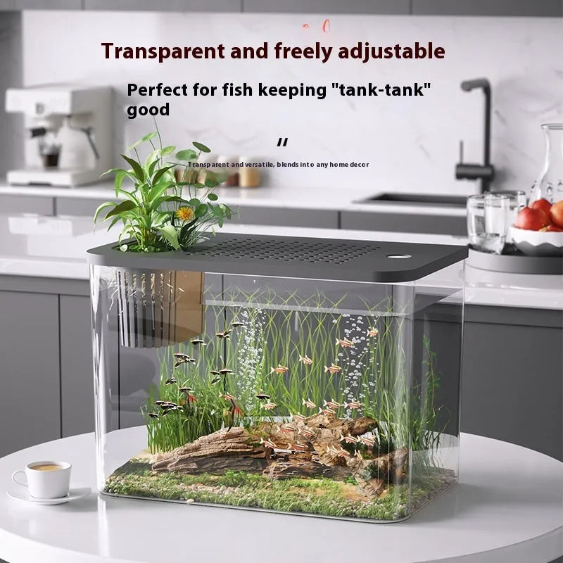 A compact black plastic betta fish tank with a built-in cover, measuring 32cm long, on a wooden table.