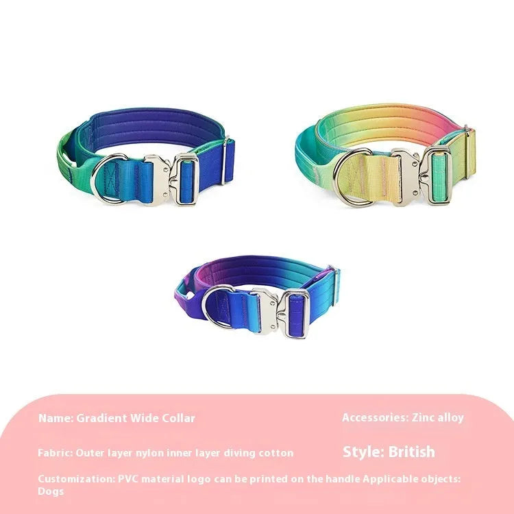 Widened gradient colour dog collar and leash set in blue purple combination with 2.5cm nylon construction