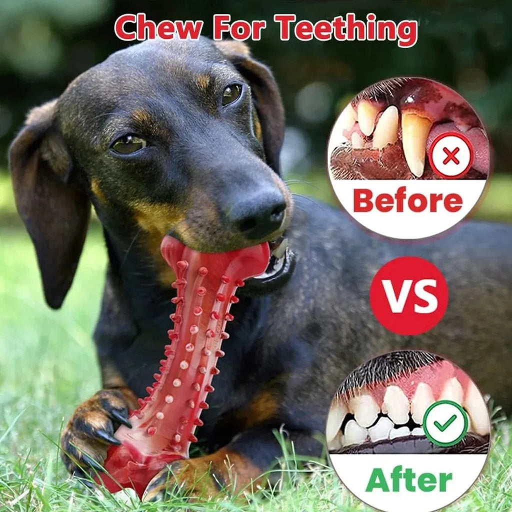 Red natural rubber chew toy for aggressive dogs and strong chewers