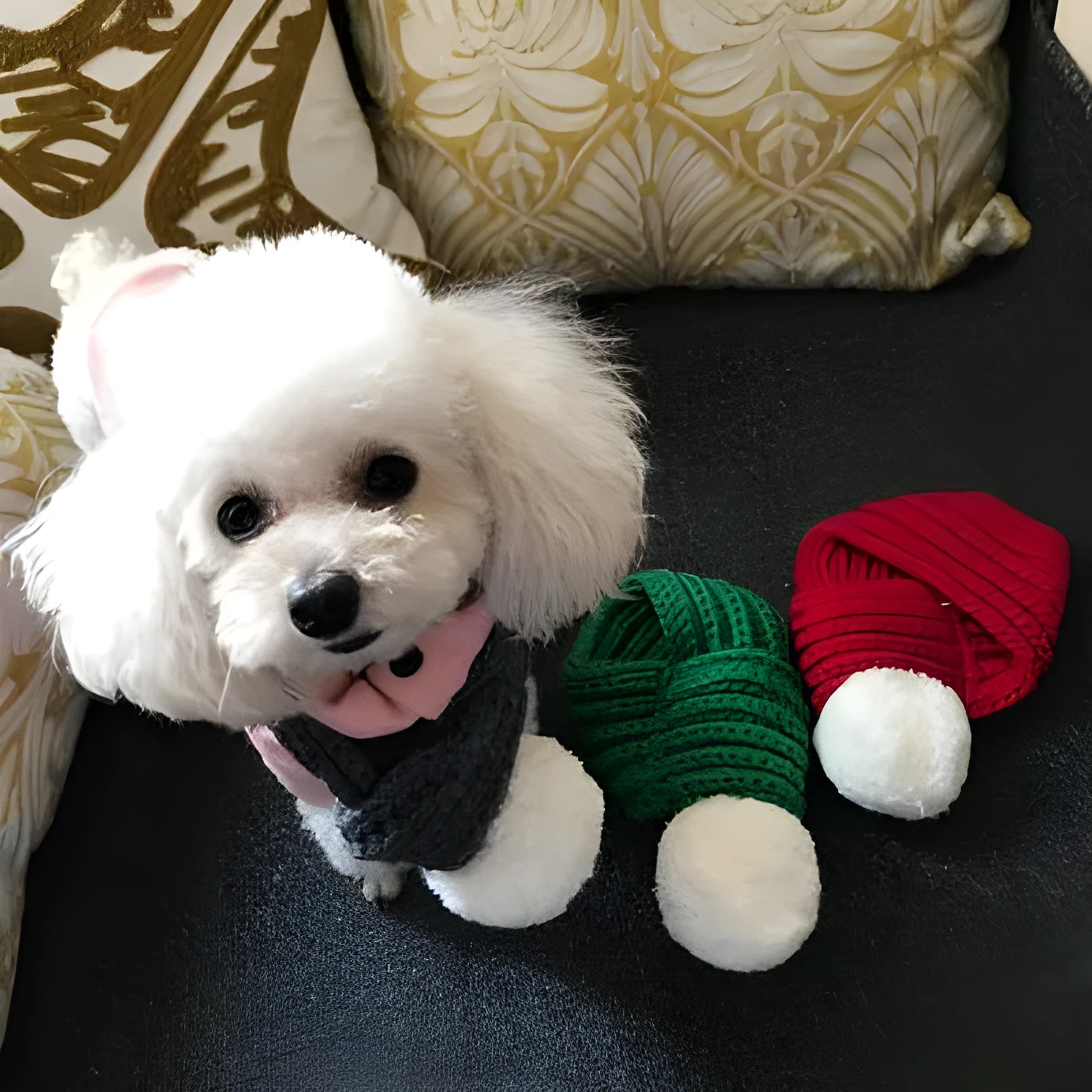 Wool pet scarf for cats and dogs in green, grey, and red, sizes M and XL