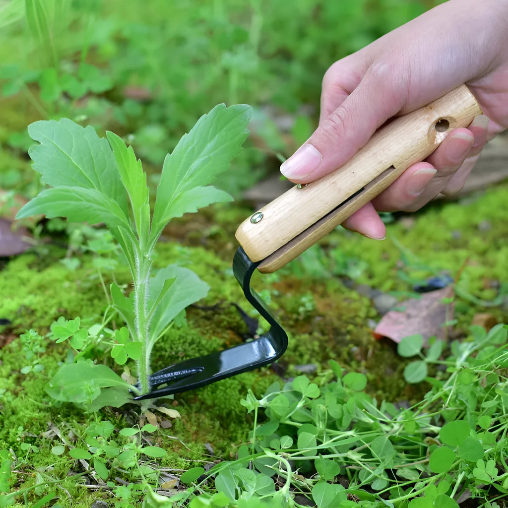 Carbon steel garden weeding and seedling rooting device 20cm length with 12cm handle and 5mm tooth width in photo colour