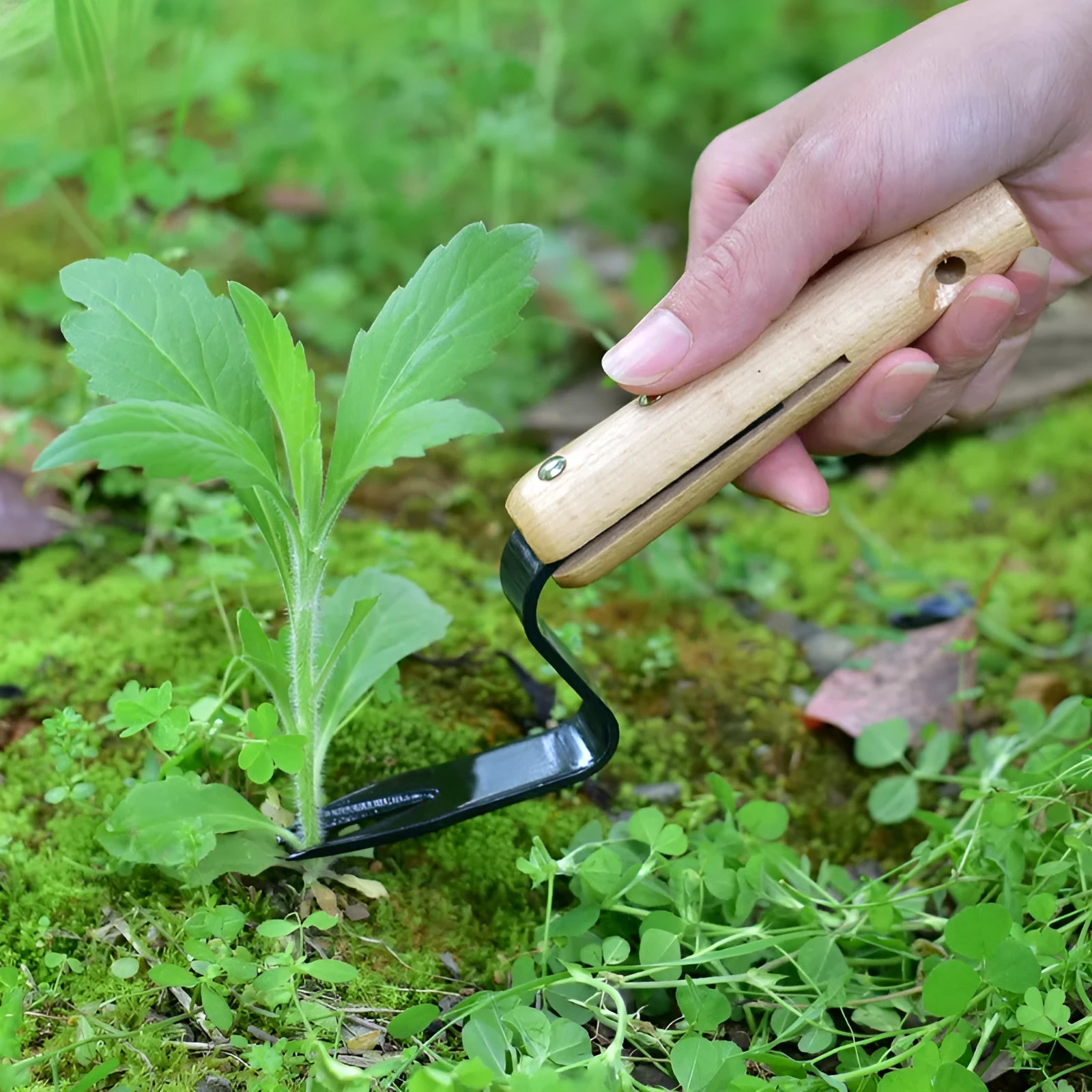 Carbon steel garden weeding and seedling rooting device 20cm length with 12cm handle and 5mm tooth width in photo colour