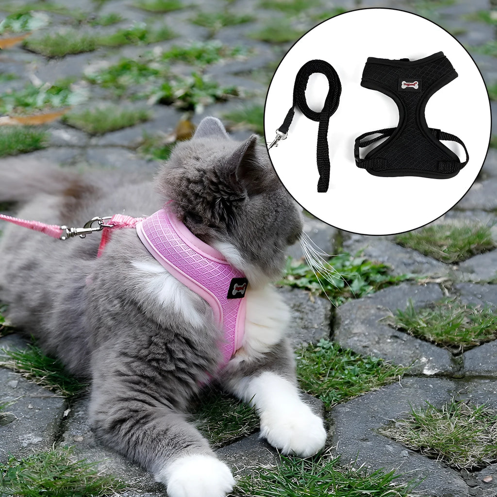 Anti-skidding mesh cat harness in Black with adjustable chest 28-38cm and 120cm leash on cat
