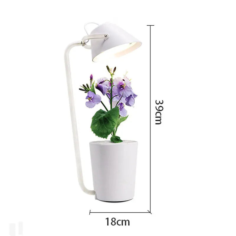 White plastic desktop hydroponic container for soilless plant cultivation.