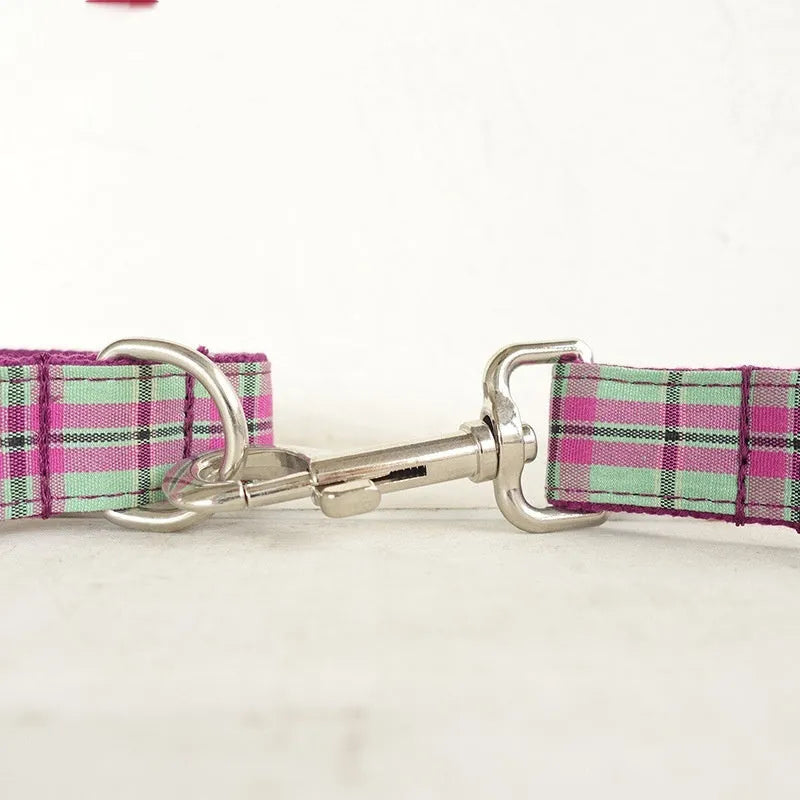 Mint-coloured polyester dog collar and leash set with zigezi pattern shown with adjustable sizing options