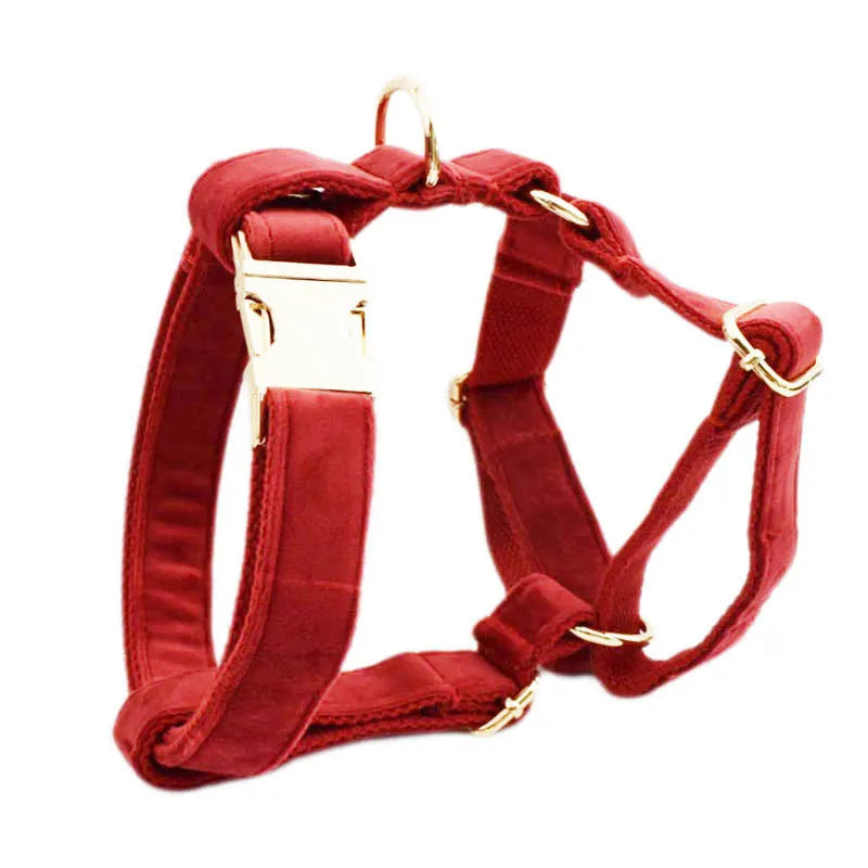 Complete dog collar and leash gift set with bow tie, vest and waste bag in festive colours