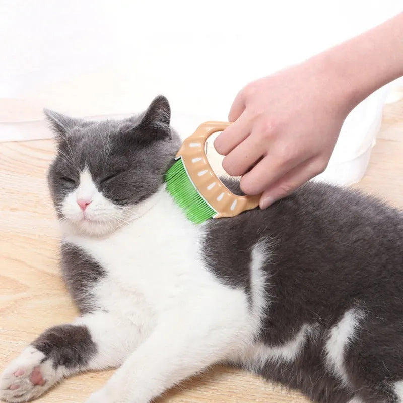 Shell-shaped pet grooming brush with coloured handle and wire bristles for dog and cat hair removal