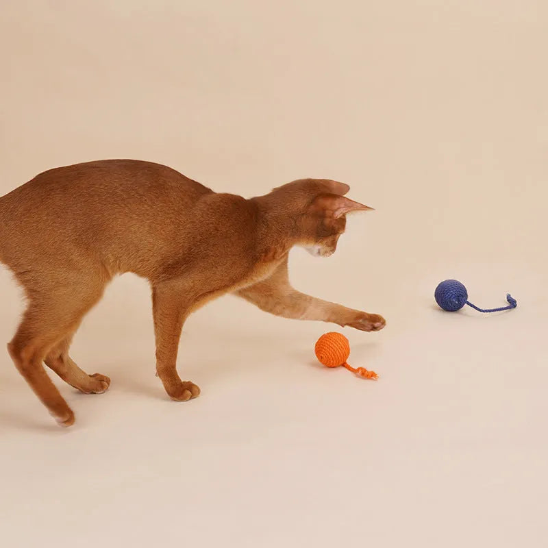 Interactive cat teaser wand with a colourful bite-resistant catnip ball attached
