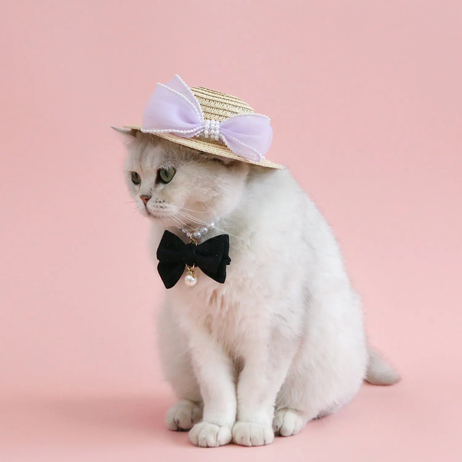 Pet cat wearing straw hat with pearl bow decoration in princess style costume accessory