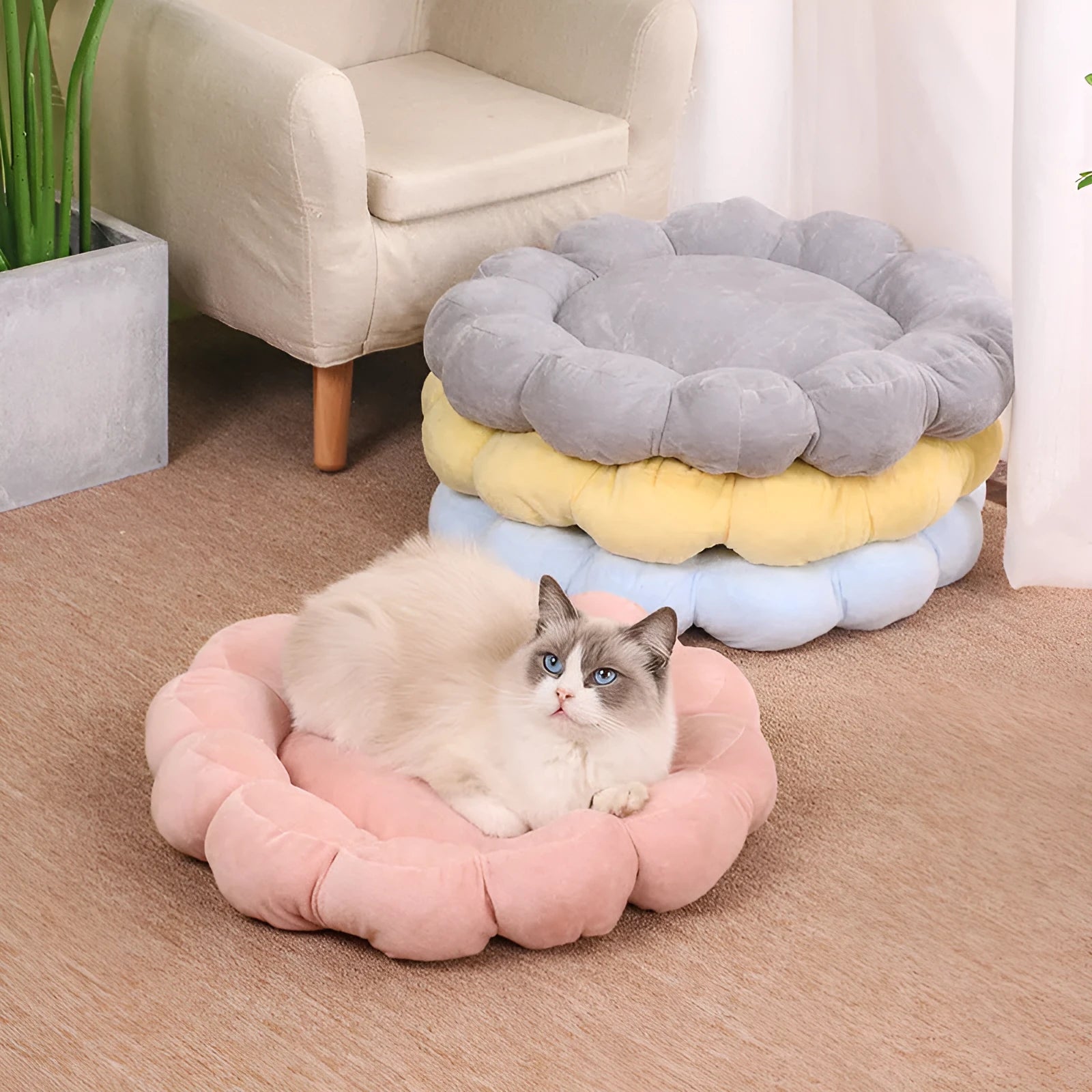 Blue petal-shaped half-surrounded pet bed with plush fabric for dogs and cats