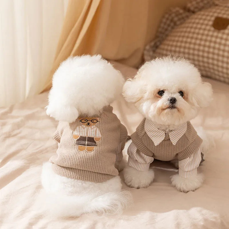 Brown striped two-legged knitted pet coat for small dogs and cats autumn winter