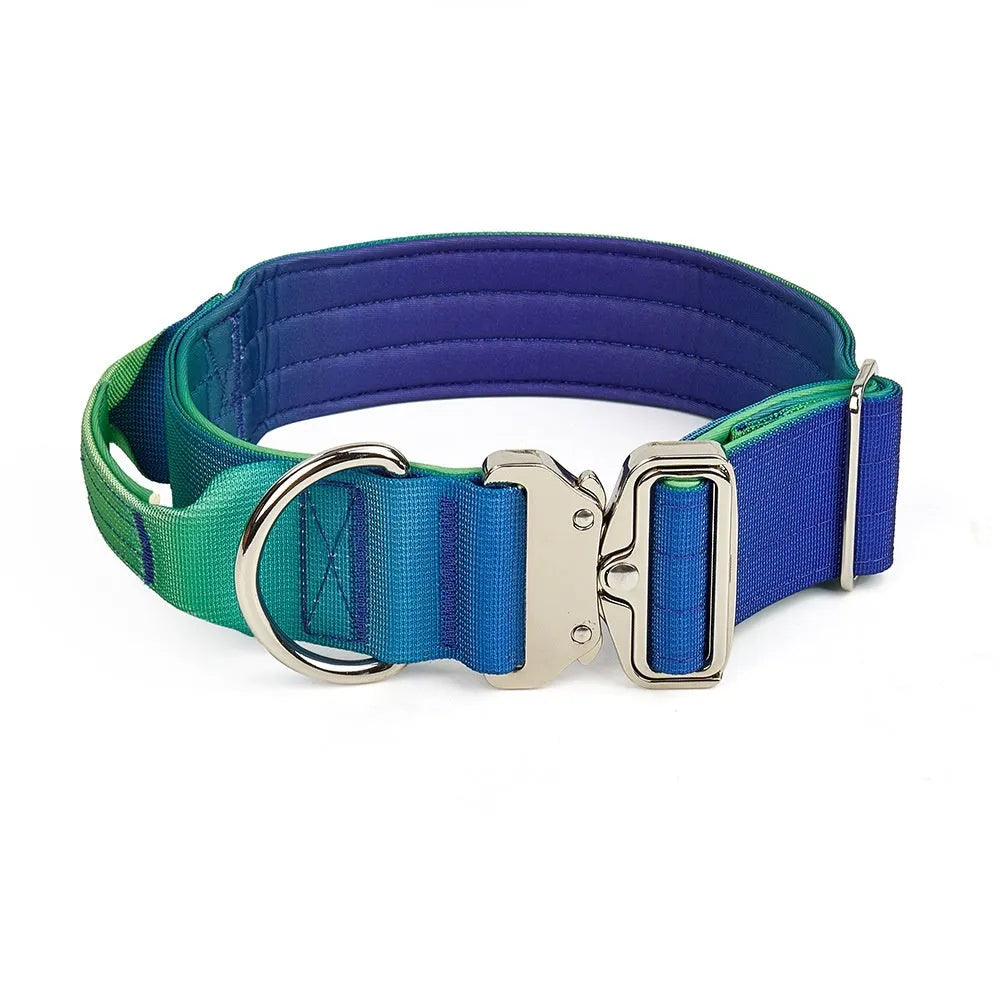 Widened gradient colour dog collar and leash set in blue purple combination with 2.5cm nylon construction