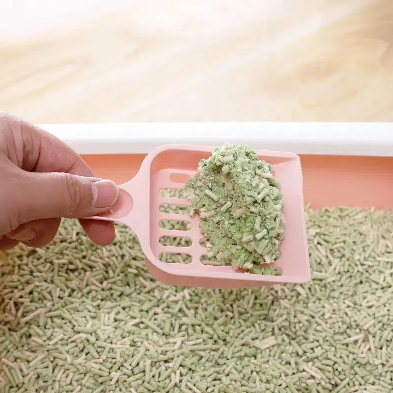 Plastic cat litter scoop in blue, green or pink colours measuring 20cm length