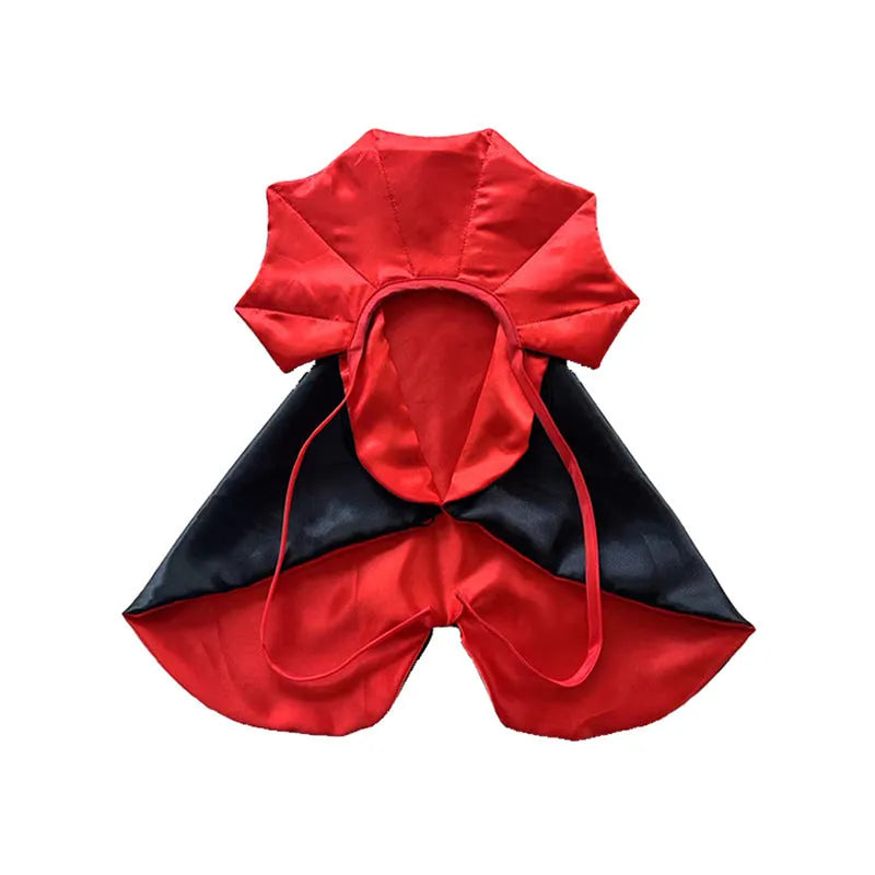 Red bat wing cloak and pointed hat Halloween costume set on a small dog.